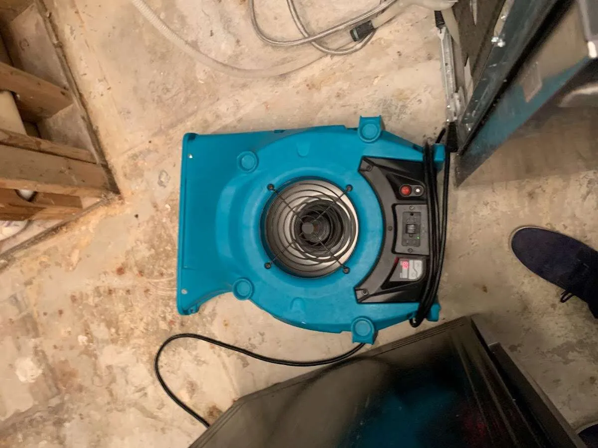 Air mover drying equipment for Mold Remediation & Removal in Waldwick