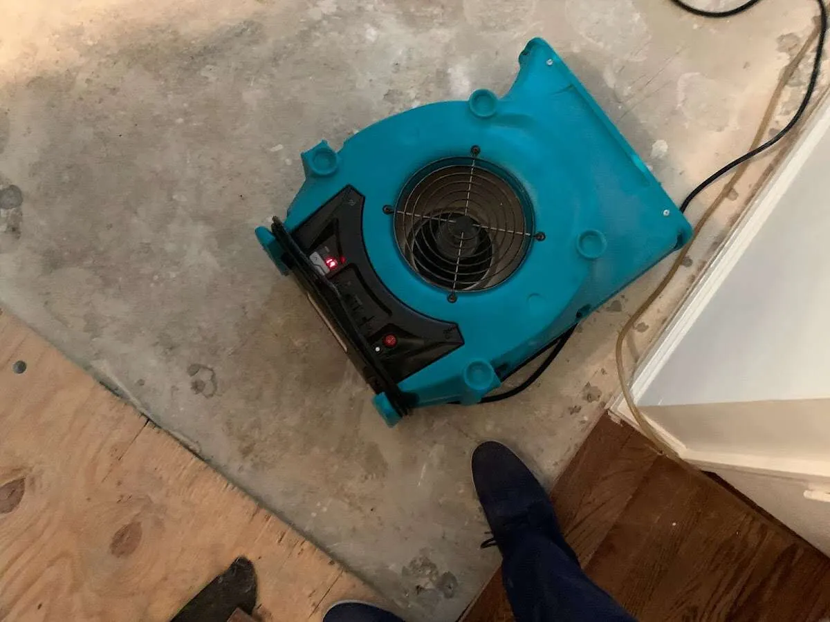 Air mover drying subfloor during Leak Detection & Repair in Waldwick
